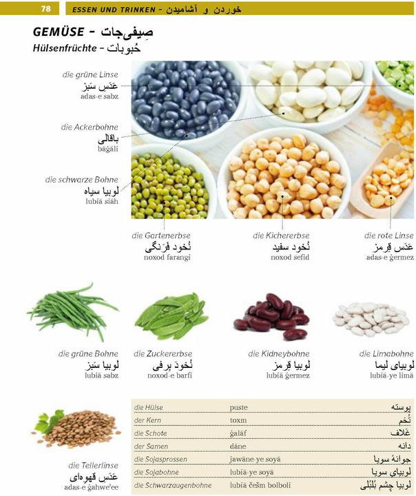 Immagine prodotto Bildwörterbuch Persisch (Farsi, Tedesco, 2021)