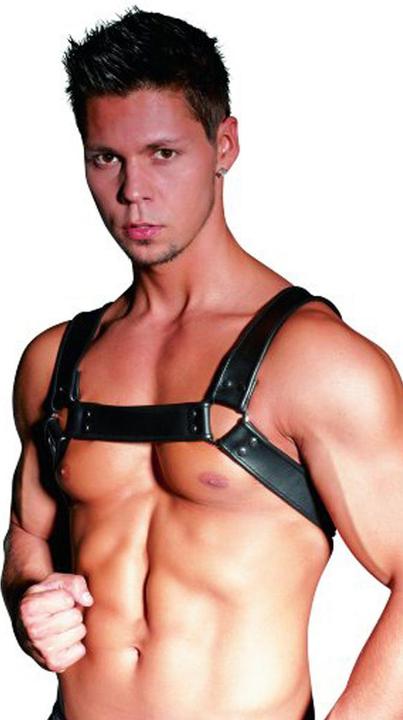 Actual product image Zado Chest Harness (M)