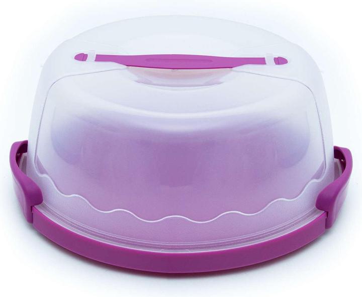 Actual product image Intirilife Cake transport container