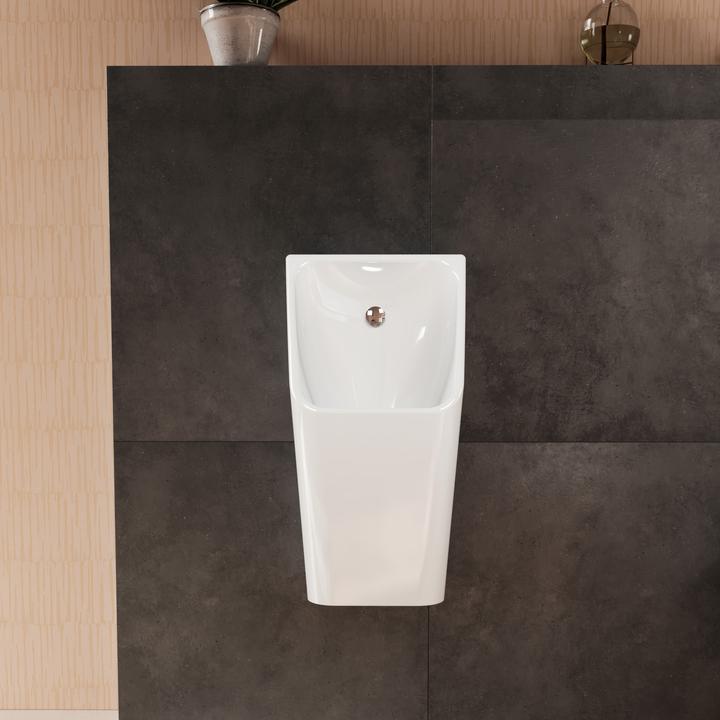 Actual product image hansgrohe EluPura Original Q urinal, rimless, rear inlet, 320x305x600mm, white