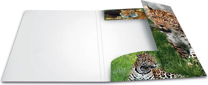 Produktbild HERMA Sammelmappe A4 Motiv (A4, 1 x)