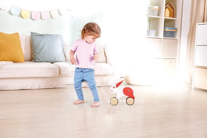 Image du produit Hape Lapin à tirer