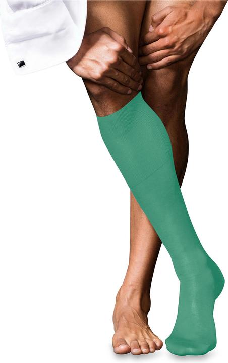 Image du produit Falke N° 9 Pure Fil d'Écosse Hommes (45 - 46)