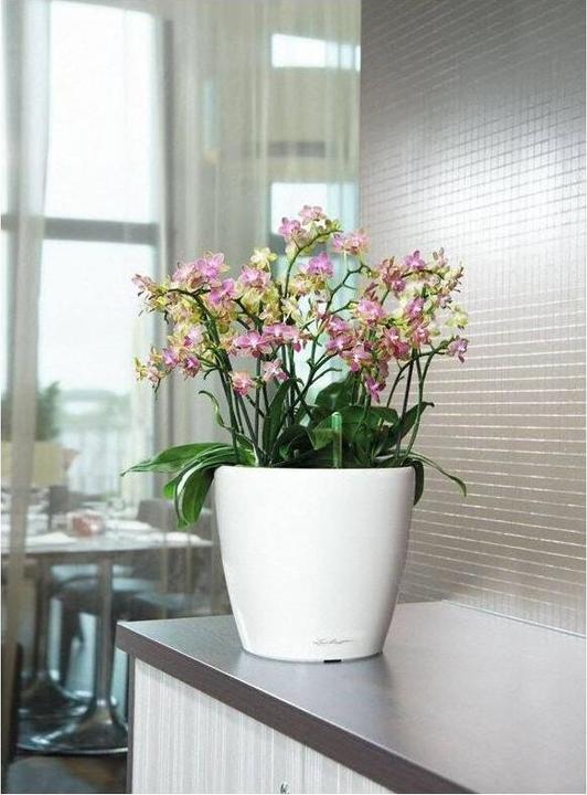 Produktbild Lechuza Classico (28.50 cm)