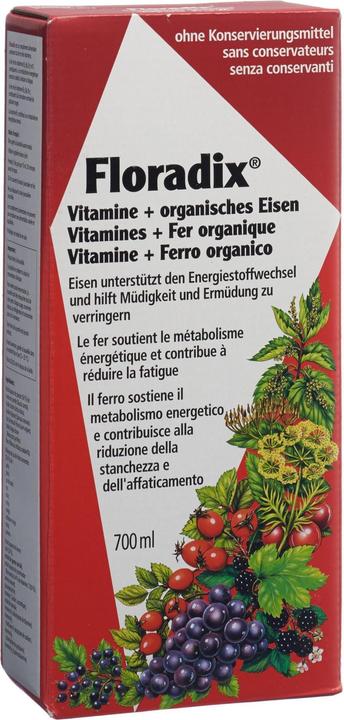 Actual product image Floradix Vitamine und organisches Eisen (1 Piece, Liquid, 700 g)