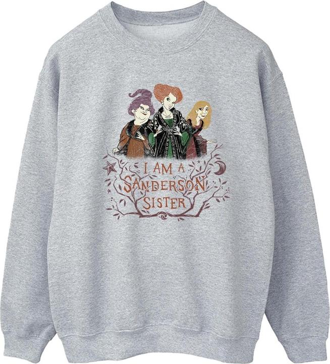 Immagine prodotto Disney Hocus Pocus Sanderson Sister Felpa Uomo (XXL)