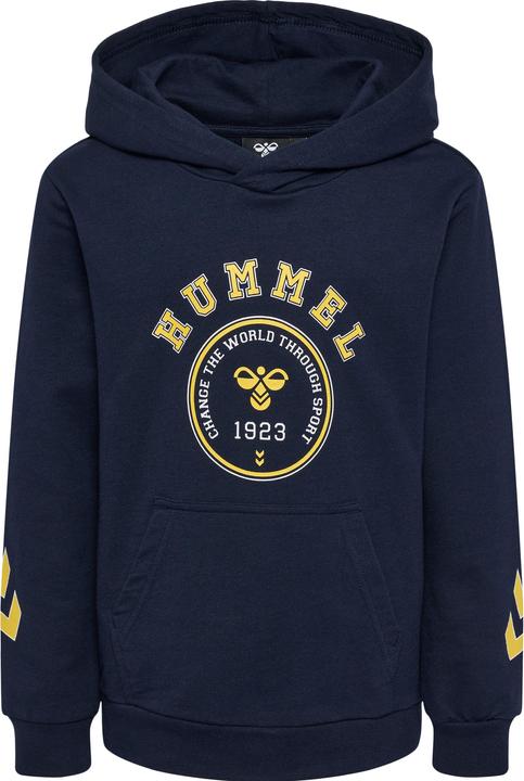 Actual product image hummel Geography Hoodie (122)