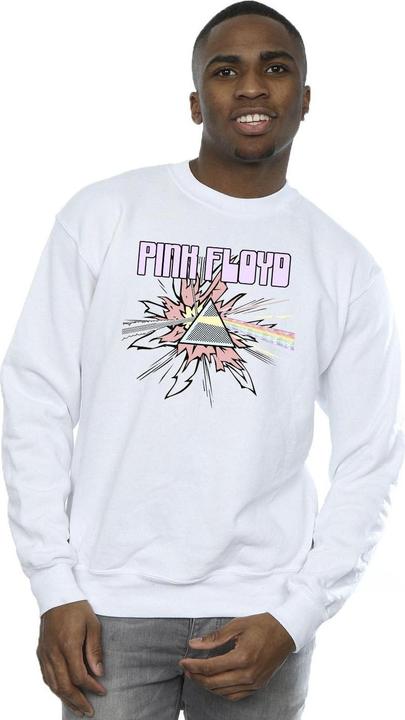 Image du produit Pink Floyd - Sweat PASTEL TRIANGLE - Homme (M)