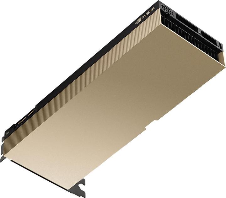 Actual product image PNY NVIDIA L40S (48 GB)