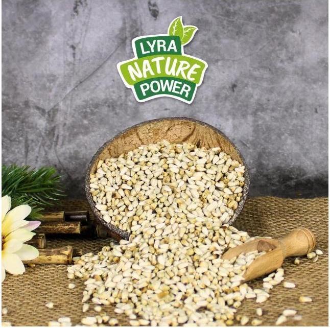 Produktbild Lyra Pet Kardisaat (1 x, 10 kg)