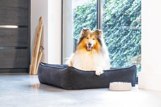 Produktbild Designed by Lotte Ribbed (Hund)