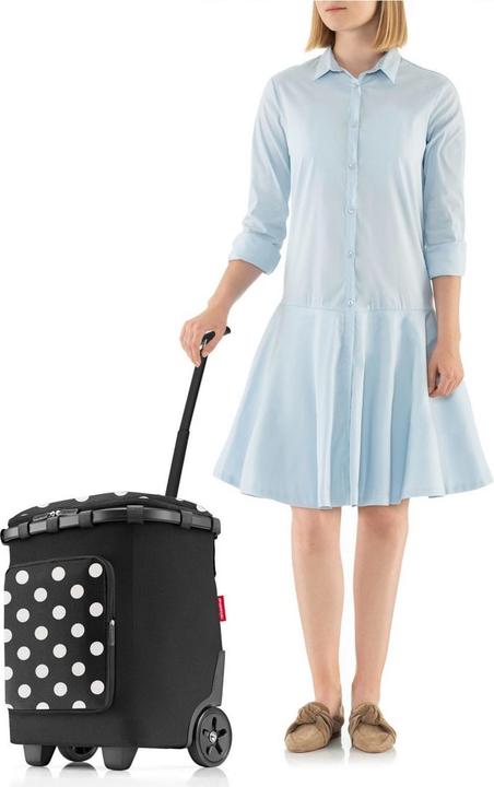 Image du produit reisenthel Sac à provisions carrycruiser plus