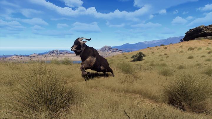 Produktbild THQ Way of the Hunter - Wild Expeditions (PS5, EN)