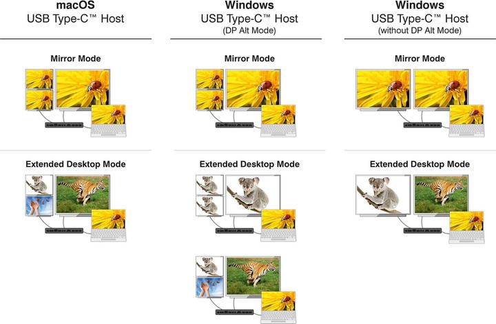 Actual product image Delock USB Type-C Triple Display Docking Station with DisplayL (USB-C, 5 Ports)