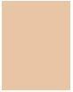 Actual product image Shiseido Synchro Skin Rad Lifting Fond de Teint No 260 (Cashmere)