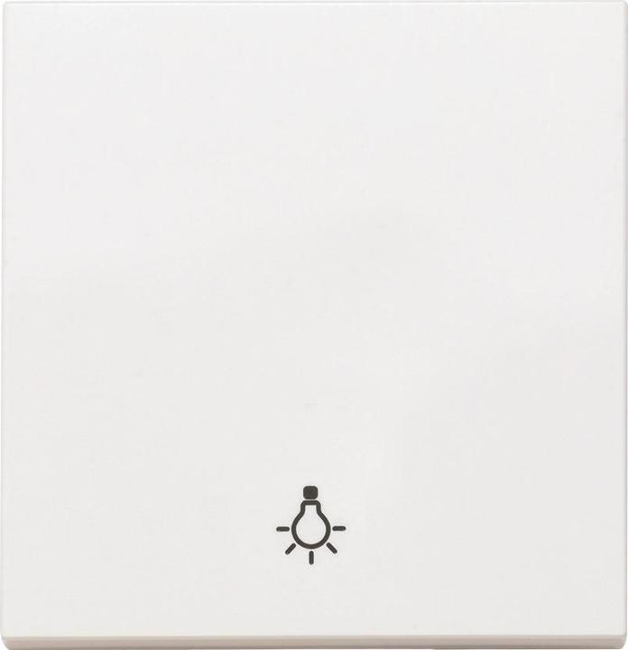 Actual product image Panasonic WDTR00161WHEU1 Plus 55 rocker white with light symbol
