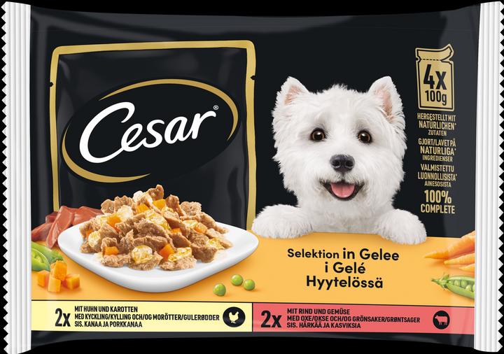 Produktbild Cesar Multipack Portionsbeutel Selektion Huhn & Rind in Gelee (Adult, 13 Stk., 5695 g)