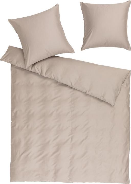 gray beige
