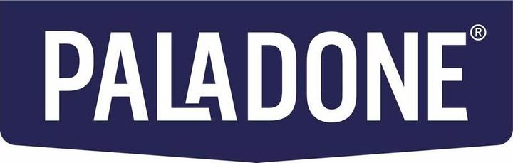 Actual product image Paladone Products Lampada Princess Book