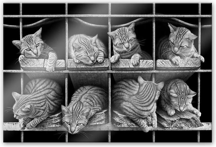 Actual product image Trenddeko Heine - The cat (75 x 120 cm)