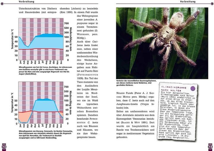 Immagine prodotto Die Martinique-Baumvogelspinne (Tedesco, Boris F. Striffler, 2021)