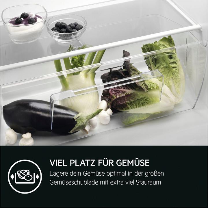 Image du produit AEG TSF5O881DF Réfrigérateur encastrable / 880 mm / Compartiment congélation 4 étoiles / 118 L / Porte (118 l)