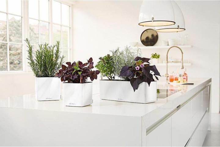 Produktbild Lechuza Cube Glossy Triple (14 cm)