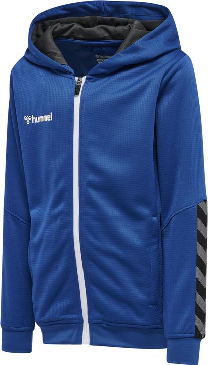 Image du produit hummel Sweat à Capuche Zippé Authentic Kids Poly (176)