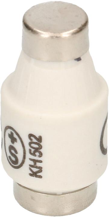 Produktbild Max Hauri Schurter DT, 5 Stück (Diazed-Sicherung, 10 A, Träge)