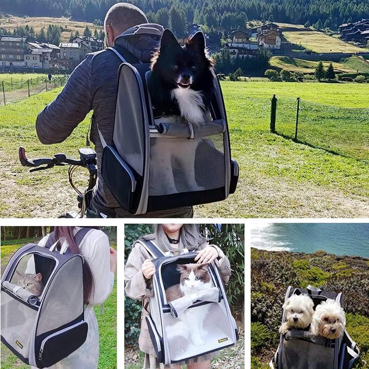 Produktbild Bow Calico Haustierrucksack (Hund, Katze, Faltbar, Atmungsaktiv)