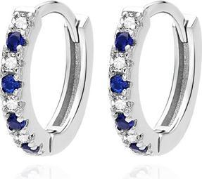 Agato Circle earrings with zircons AGUC3538-DB