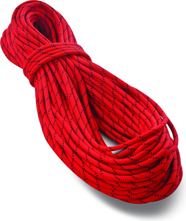 Rot