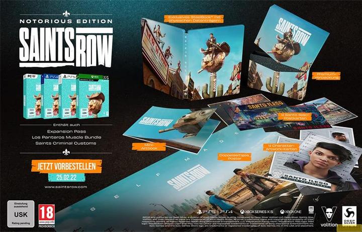 Immagine prodotto Deep Silver Saints Row - Edizione Notorious (Windows, DE)