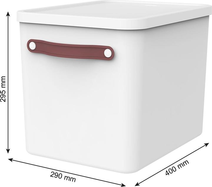 Actual product image Rotho My Paper (A4)