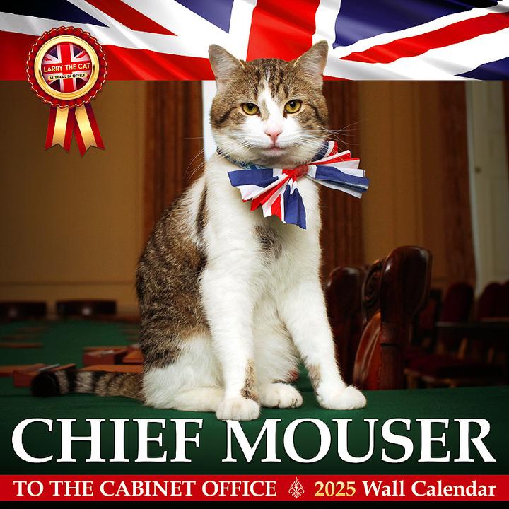 Produktbild Larry The Cat 2025 (Harter Einband, Deutsch)