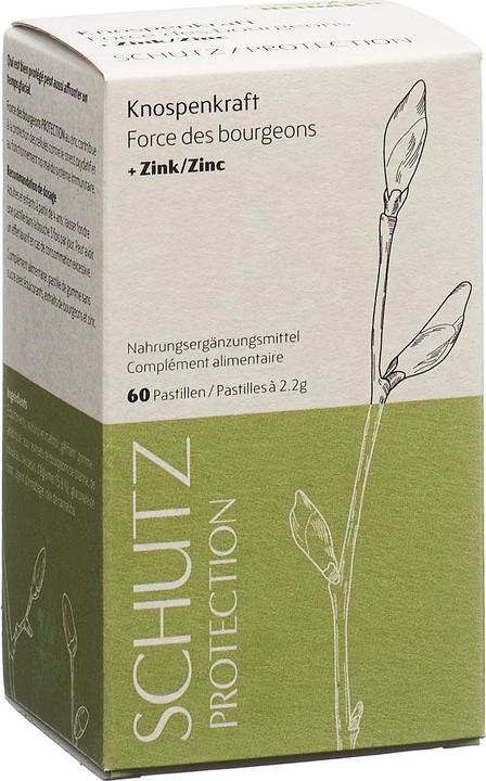Heidak Knospenkraft Schutz Pastillen (60 Stück, Pastillen, 286 g)