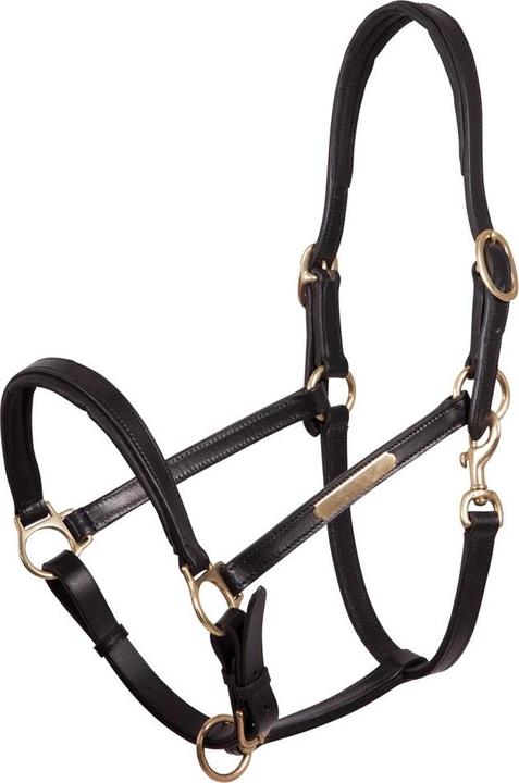 Actual product image Premiere Equitation