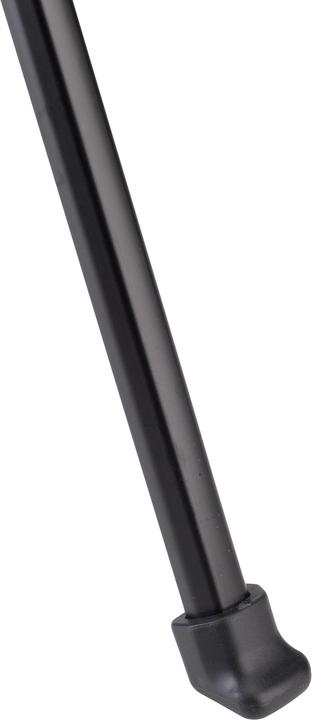 Actual product image Benro T880ex (Metal)