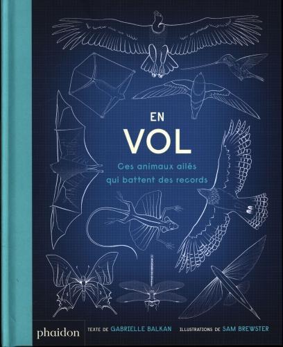 Immagine prodotto En vol : ces animaux ailés qui battent des records (Francese, Gabrielle dei Balcani, 2019)