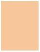 Produktbild L'Oréal Paris Infaillible 24H Fresh Wear (40 Cashmere)