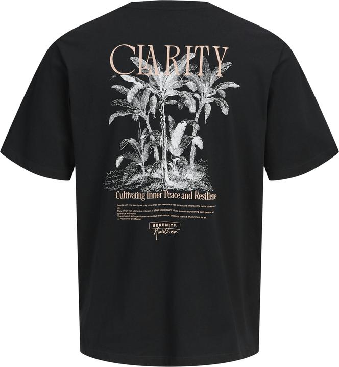 Produktbild Jack & Jones Jorbradley Clarity Tee Ss C.N Stmss25 (M)
