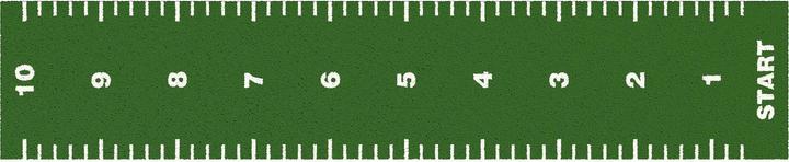 Actual product image Sport-Thieme Artificial turf running track Essential