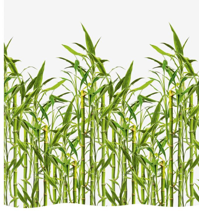 Productafbeelding Diaqua Bamboe (240 x 180 cm)
