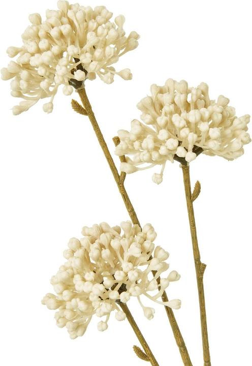 Actual product image Hill Interiors Allium Spray Artificial Flower (60 cm)