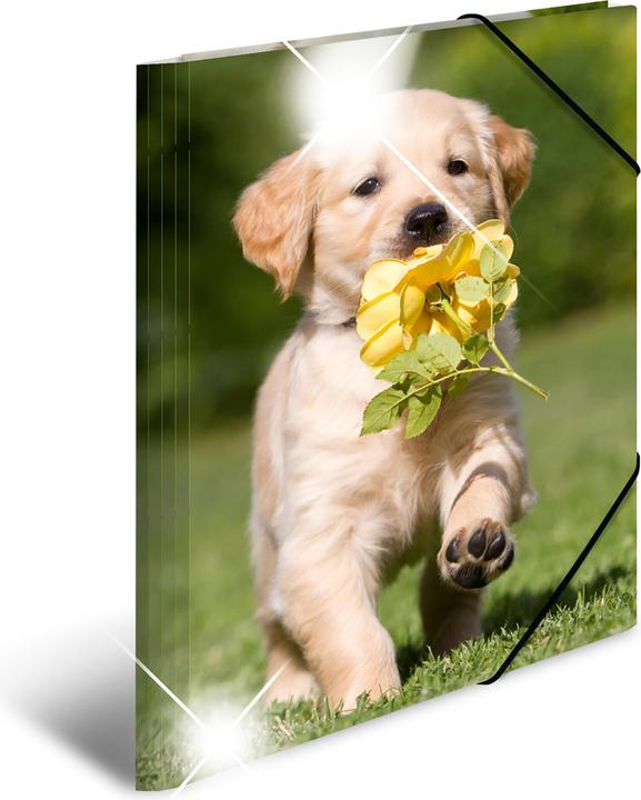 Actual product image HERMA A3 motif folder (A4, 1 x)
