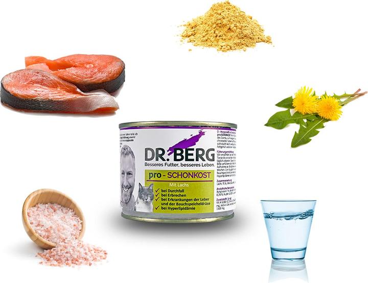 Image du produit Dr. Berg Nourriture humide pro-alimentation saine pour chats saumon, 190 g (Adulte, 1 pcs, 190 g)