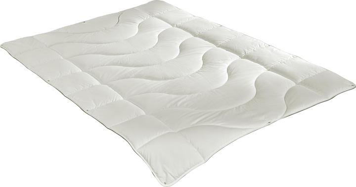 Produktbild Irisette Greenline Greenline Cyclafill ECO 4-Jahreszeiten (1100 g, 135x200 cm)