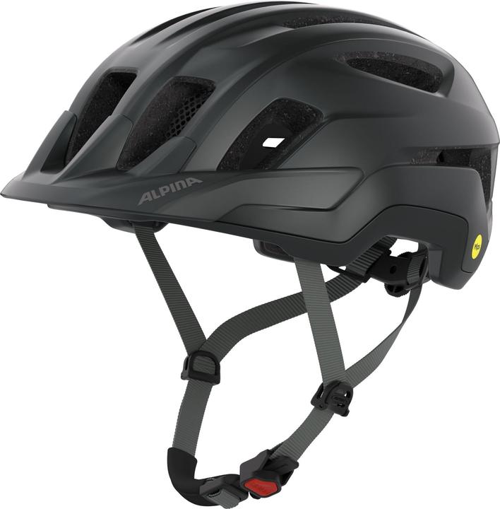 ALPINA SPORTS Paranus Mips (59 - 61 cm)