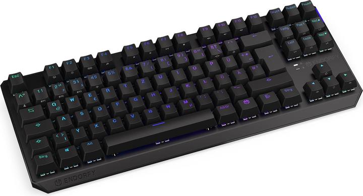 Actual product image Endorfy Thock TKL (DE, Cable, Wireless)