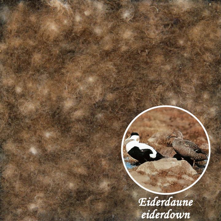 Actual product image Erwin Müller Copenhagen (960 g, 155 x 200 cm)